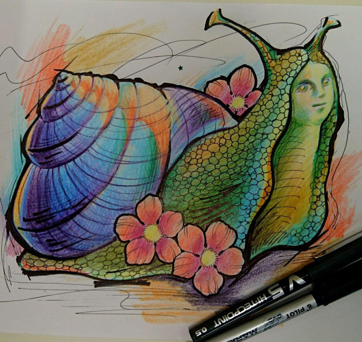 Crayons sur papier 30/30