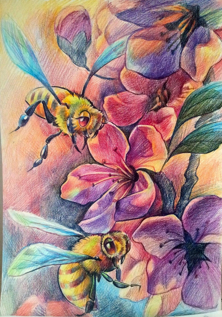 Crayons sur papier A4